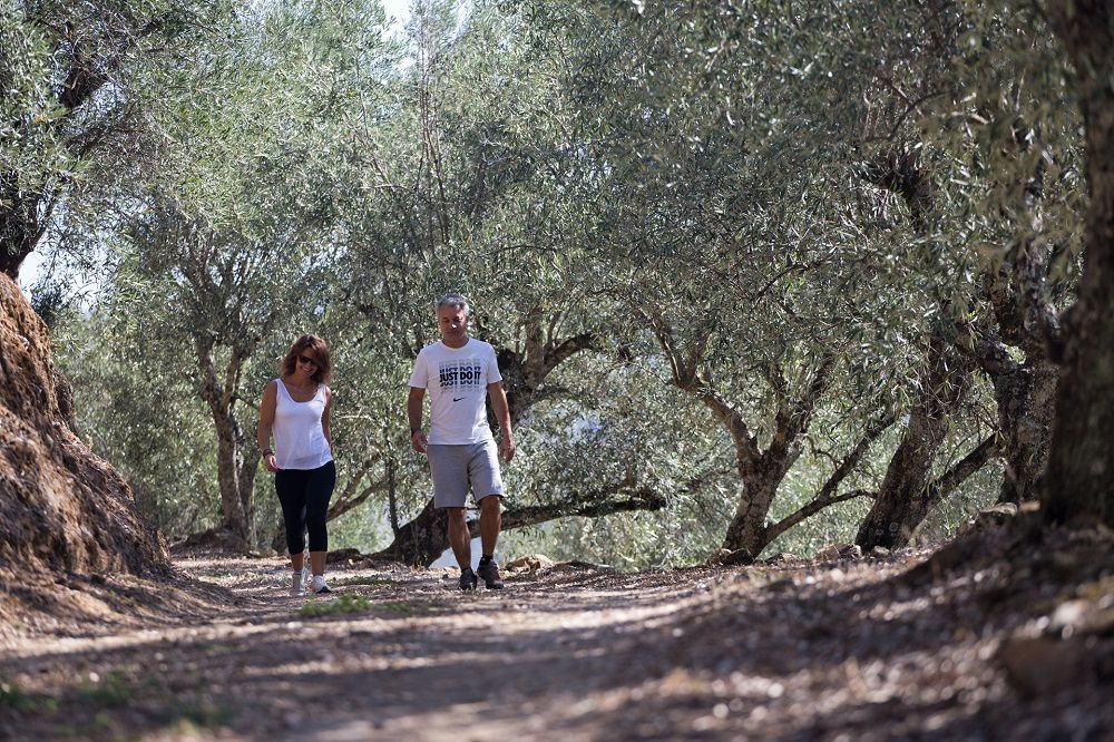 © Authentic Trails Wanderer zwischen Olivenbäumen im Douro-Tal - Portugal