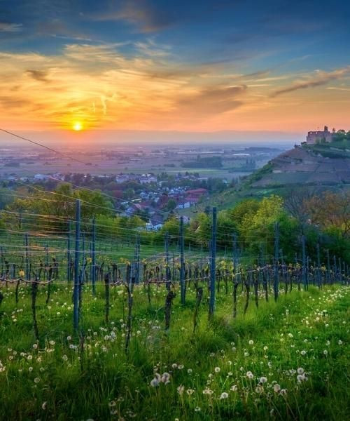 Markgräflerland