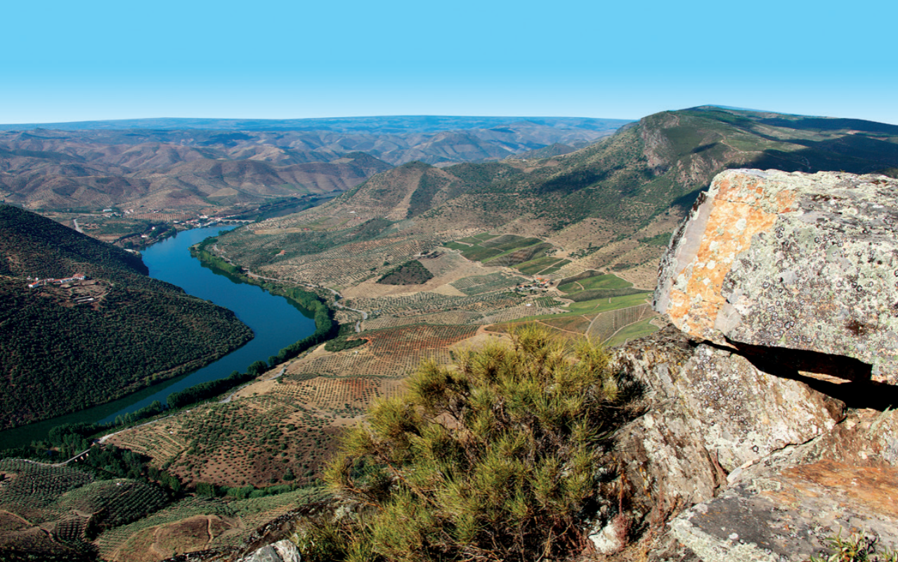 Douro-Schlinge und Terrassenweinberge - Portugal