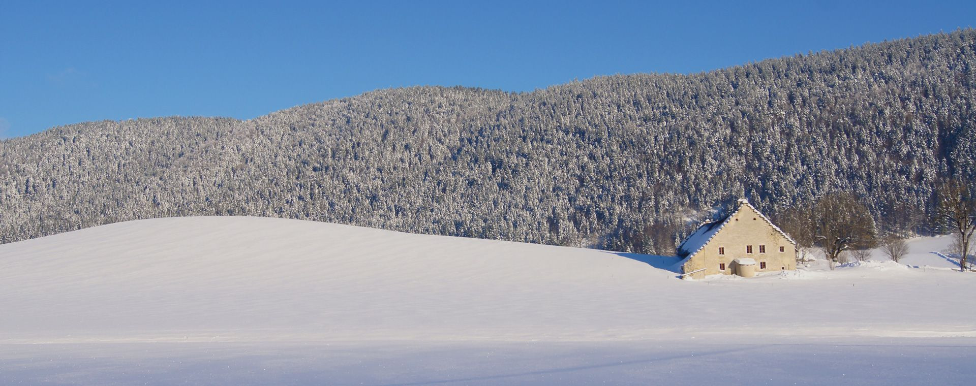 Verschneiter Bauernhof und Wald - Méaudre - Vercors