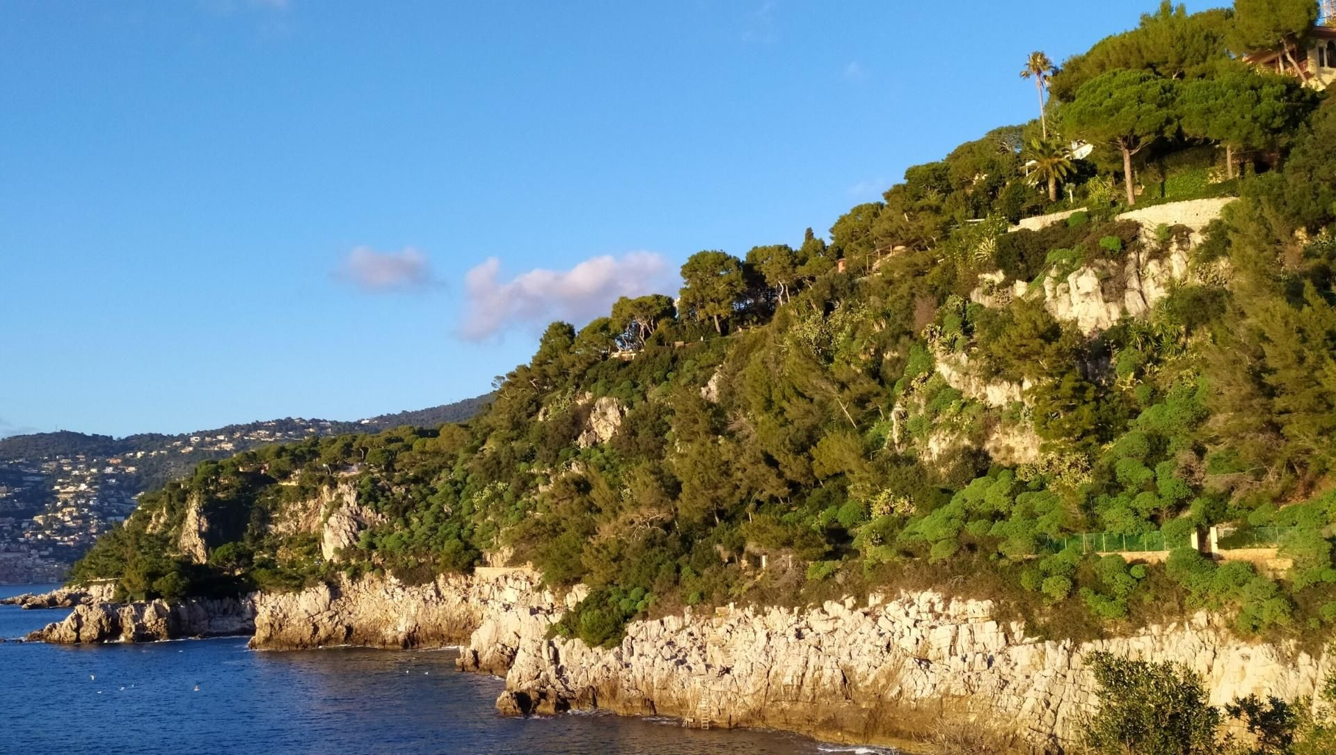Bewaldete Felsküste am Mittelmeer - Riviera - Frankreich