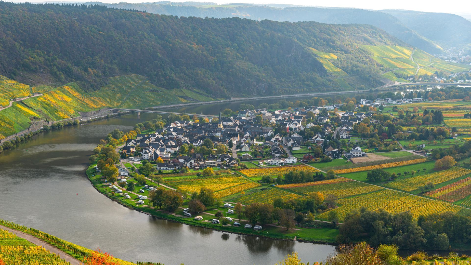 Weinberg an der Mosel