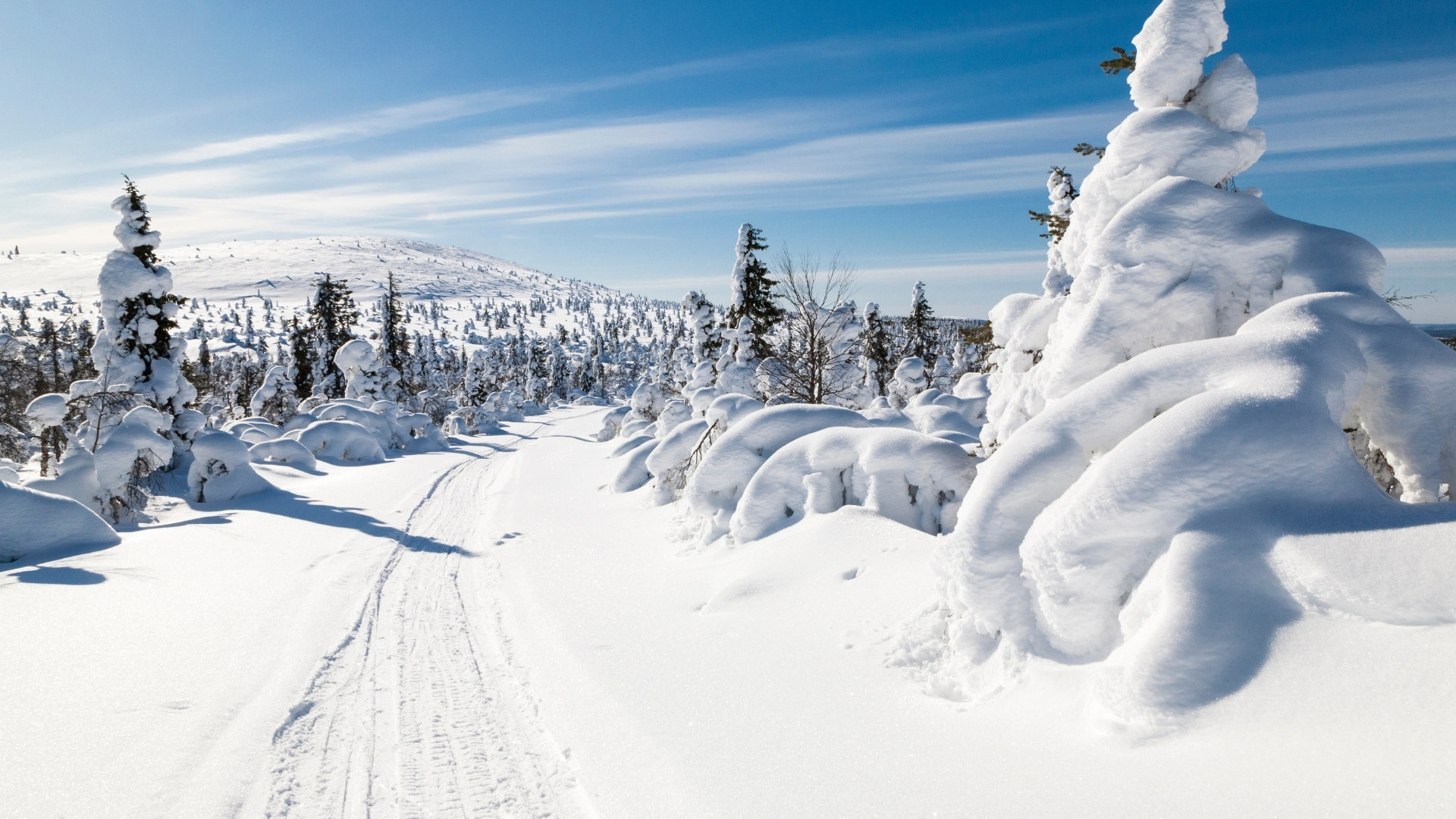 Trekking und Wanderreisen in Finnland