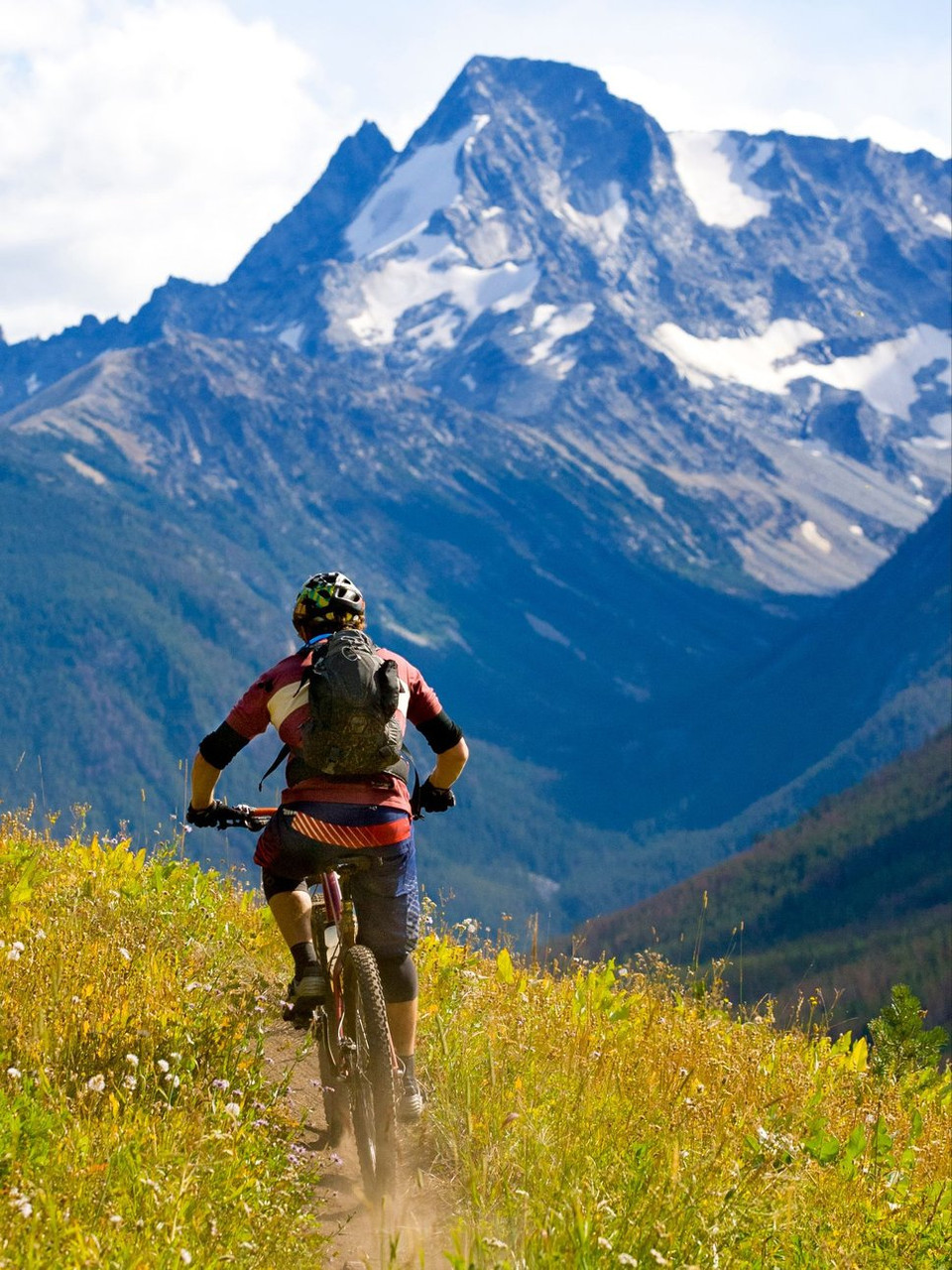 Das Mountainbike