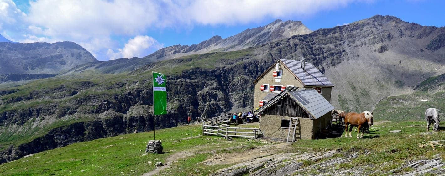 Berghütte und Pferde auf einer Alm - Alpen - Österreich