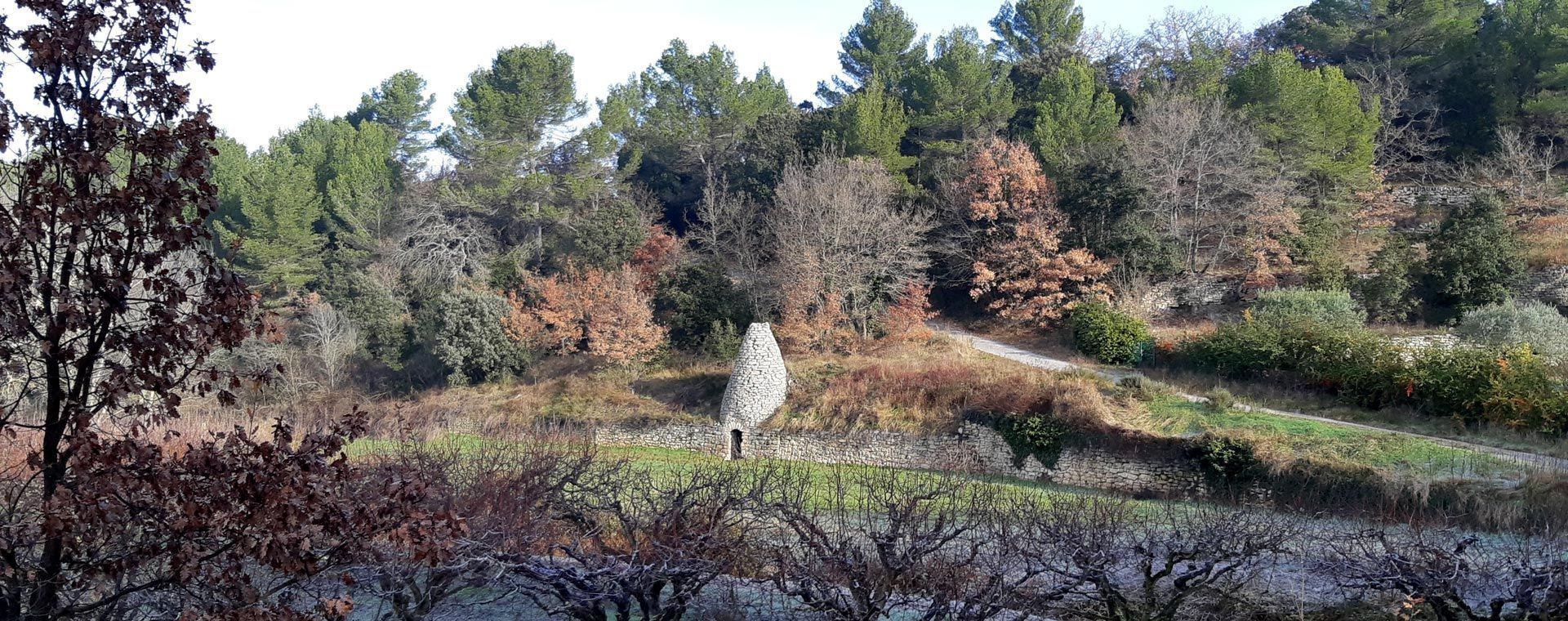 Trockensteinhütte in bewaldeter Garrigue - Luberon - Provence