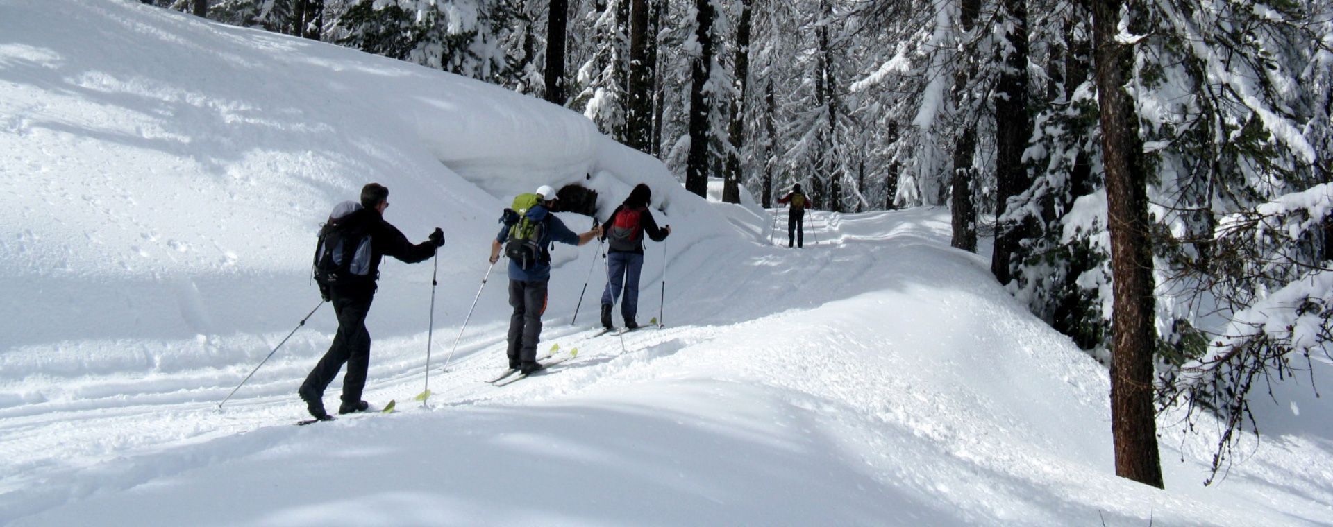 Nordische Skitourengeher im Wald - Trace des Escartons - Hautes-Alpes - Frankreich
