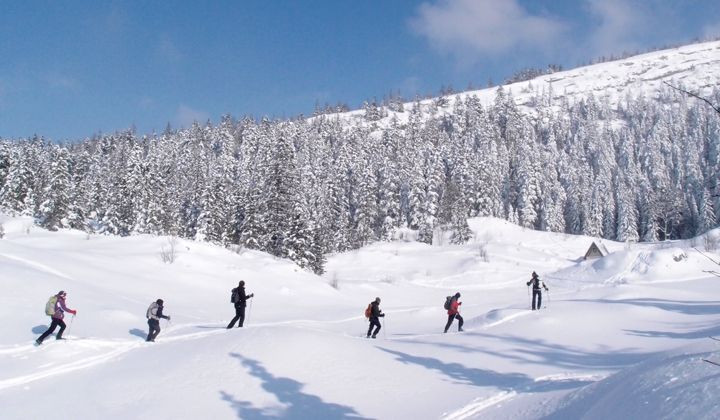 Nordische Skitour auf den nördlichen Graten des Vercors - Vercors - Frankreich