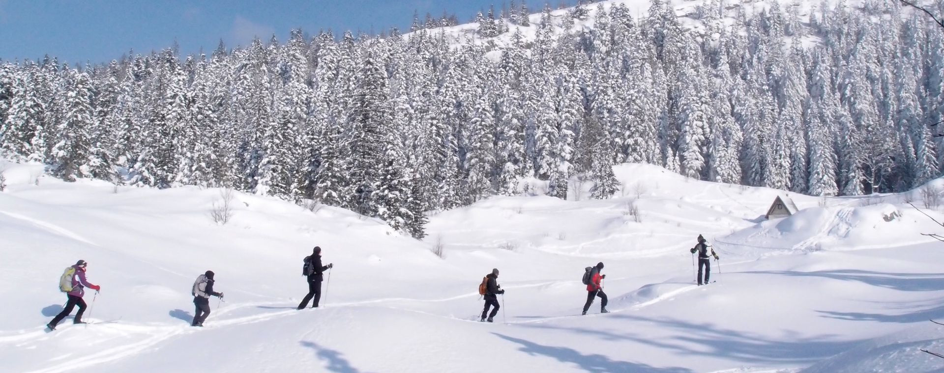 Nordisches Tourenskifahren auf den Graten des Vercors - Frankreich