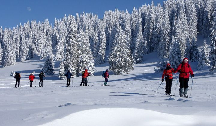 Nordische Skitour durch verschneiten Wald - Jurakämme - Frankreich