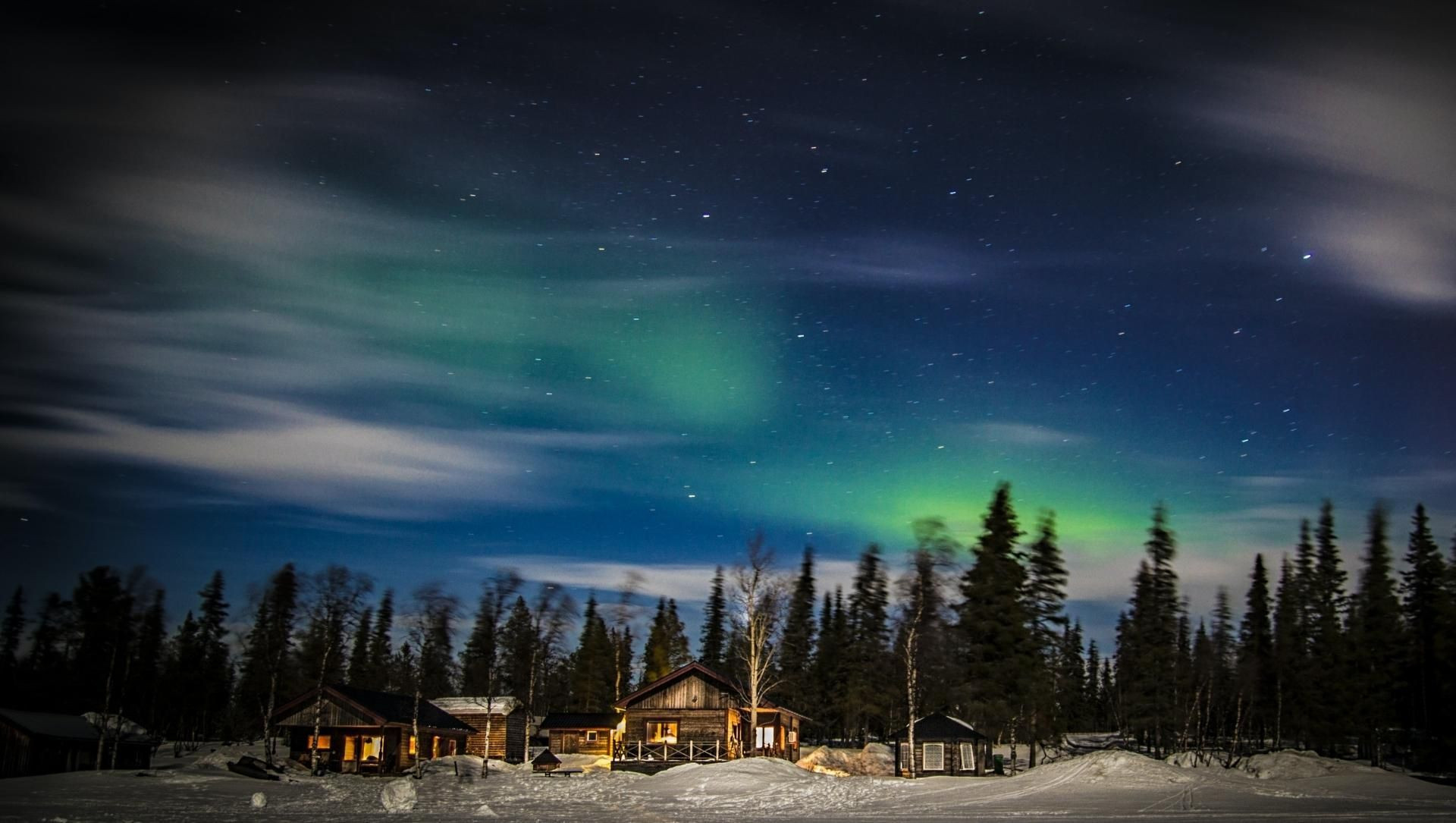 Polarlichter über dem Wald - Kiruna - Lappland - Schweden
