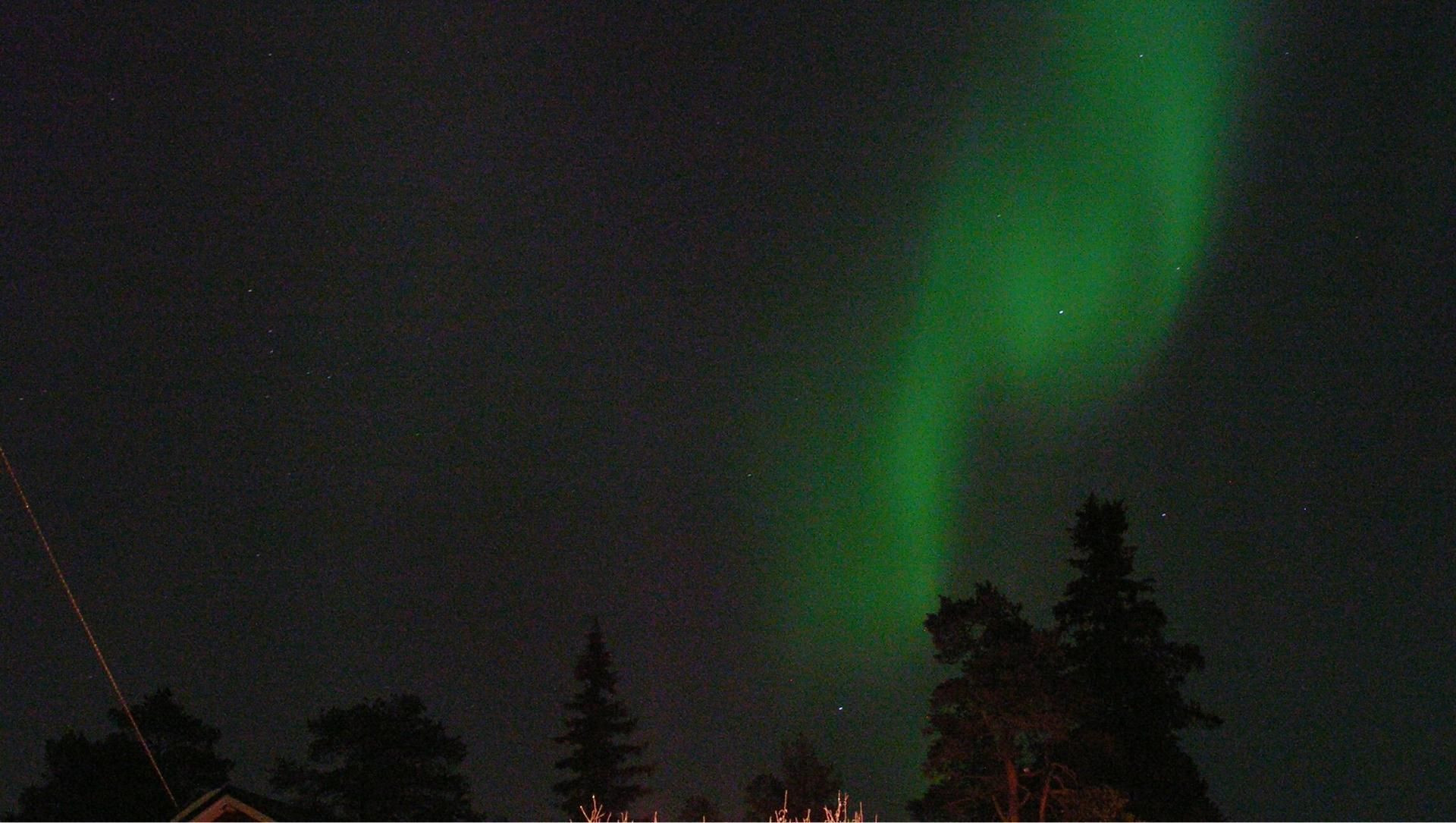 Polarlicht über dem Wald - Lappland - Finnland