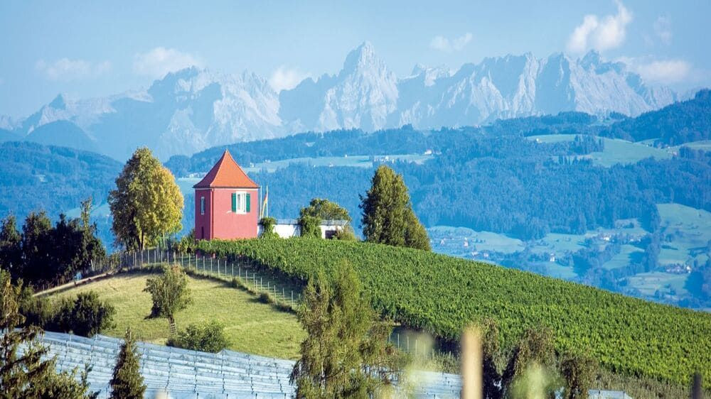 Weinberg und roter Turm vor den Alpen - Deutschland
