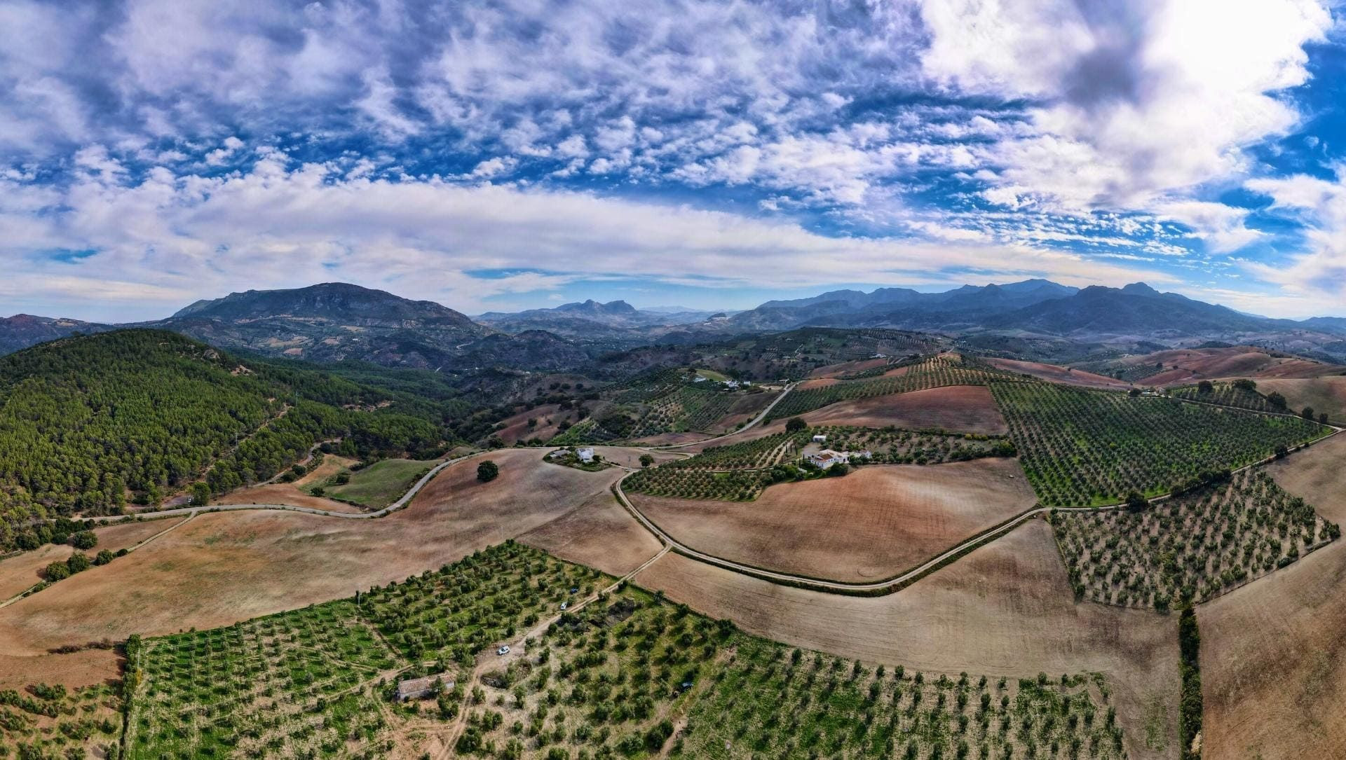 © David Praire Panorama über die Hügel und Olivenhaine Andalusiens - Spanien