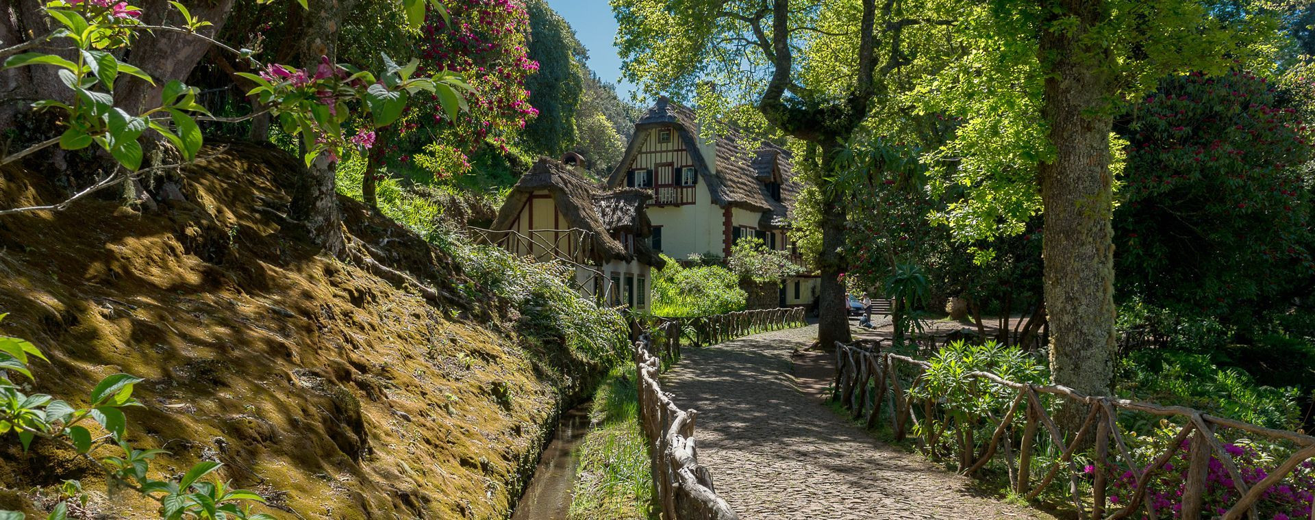 Waldpark Queimadas in Santana - Portugal