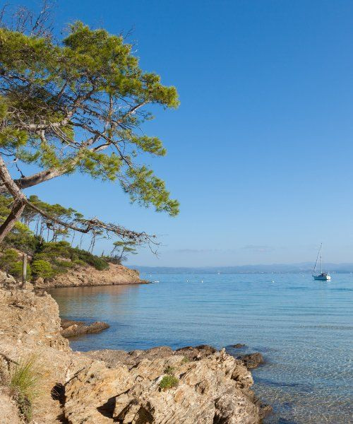 Insel Porquerolles - Var - Frankreich