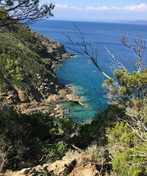 Insel Port-Cros - Var - Frankreich