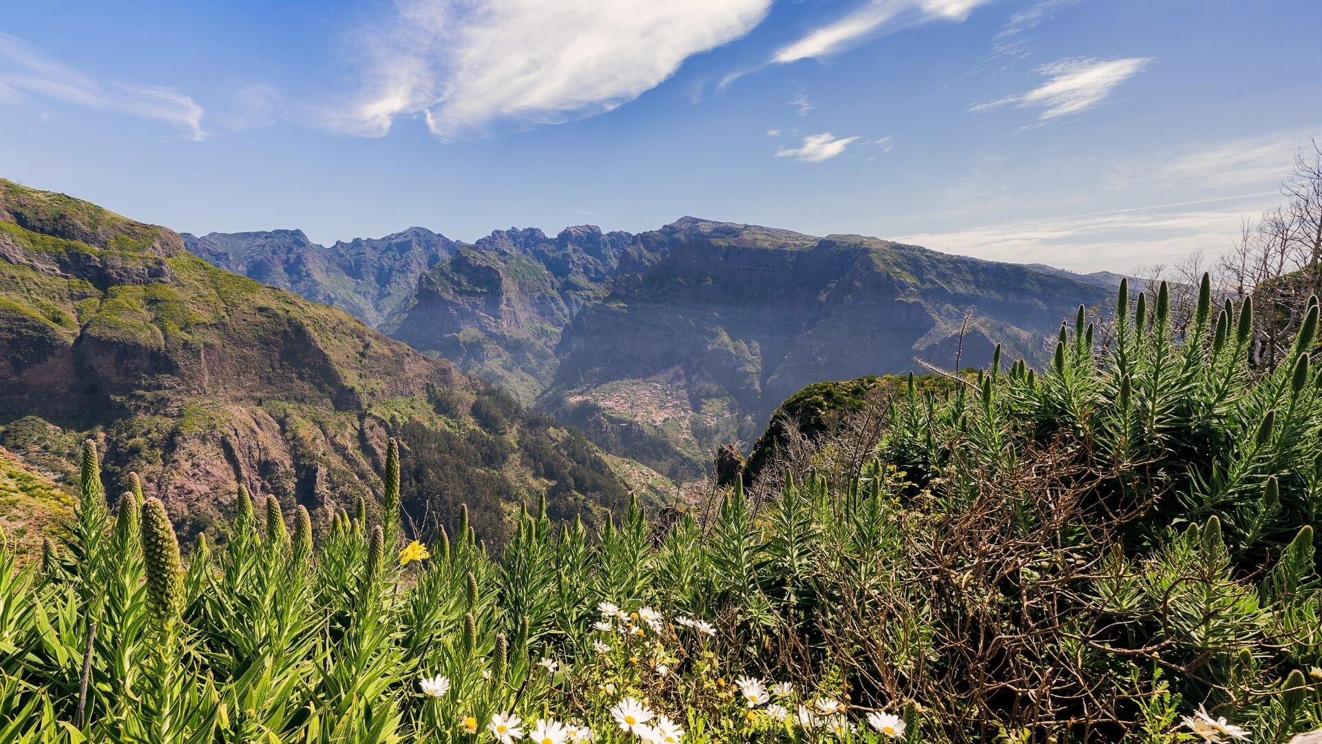 Boca da Corrida - Madeira