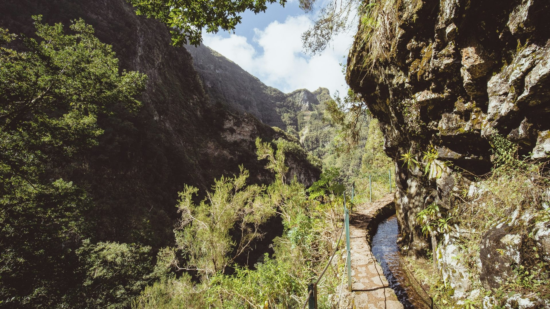 Levada do Caniçal - Madeira