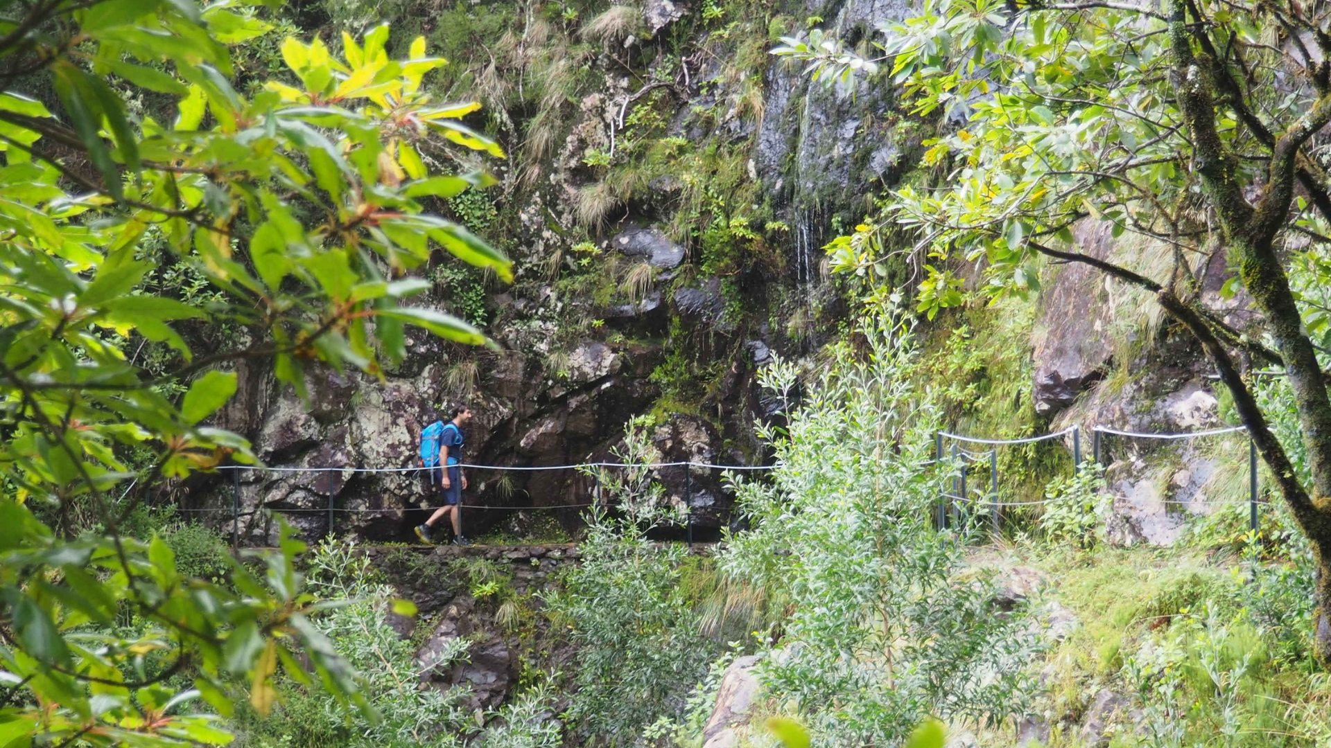 Madeira