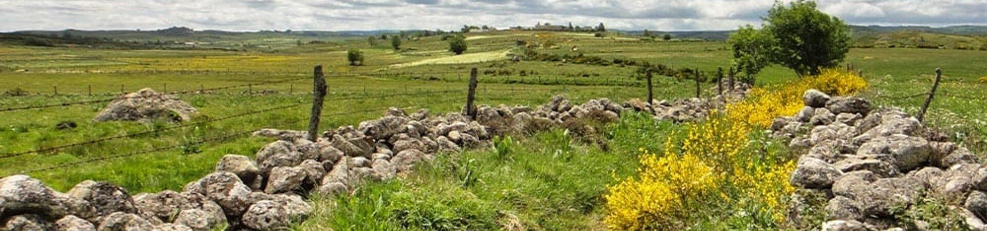Wanderreisen im Aubrac – Zentralmassiv