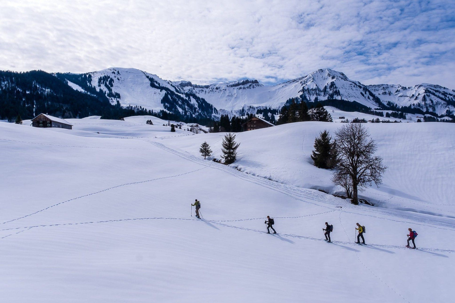 © Grégory Rohart Schneeschuhwanderer auf der verschneiten Ebene - Bregenzerwald - Österreich