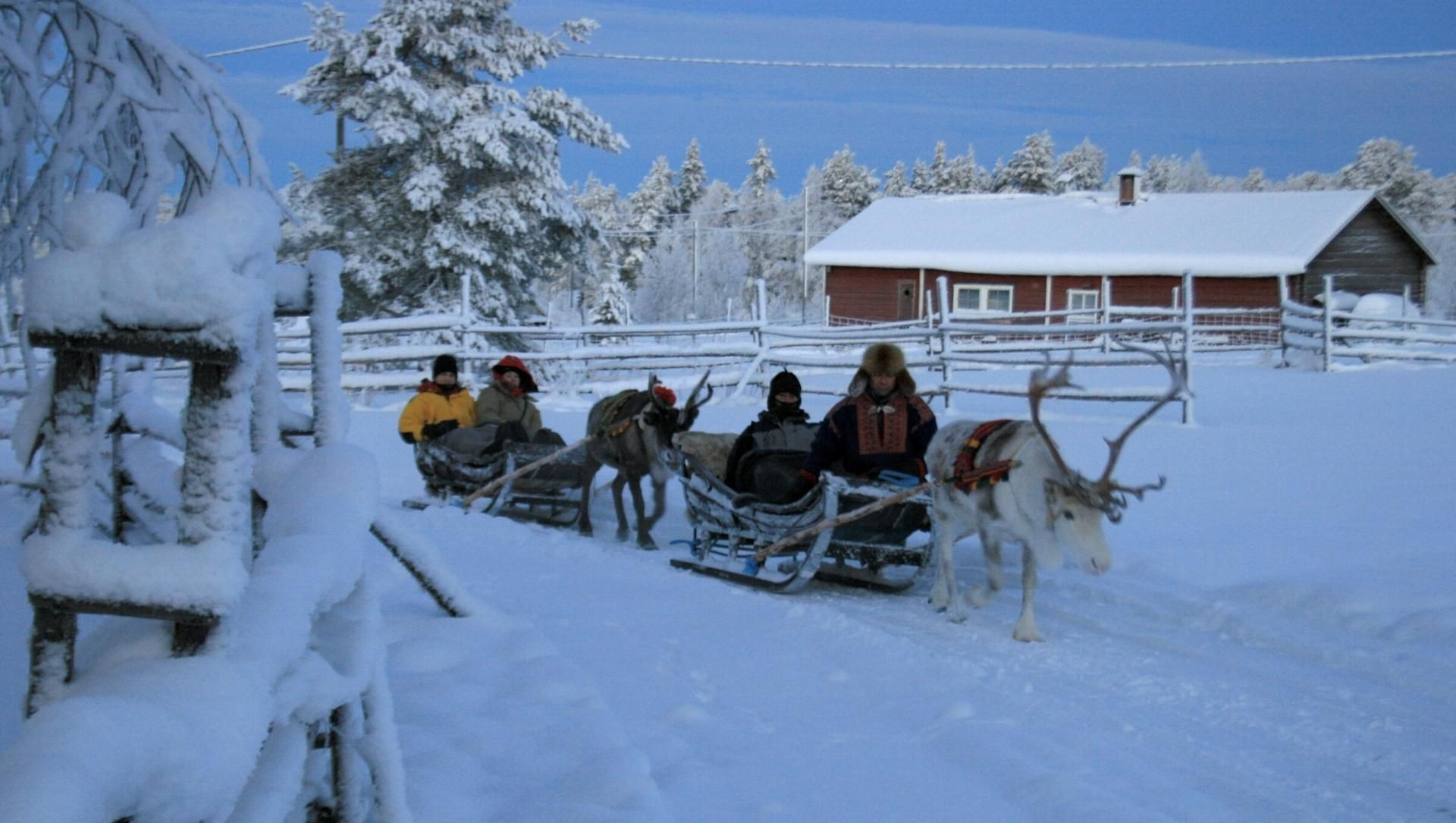 © P. Poulet Rentierschlitten im Winter - Lappland - Finnland