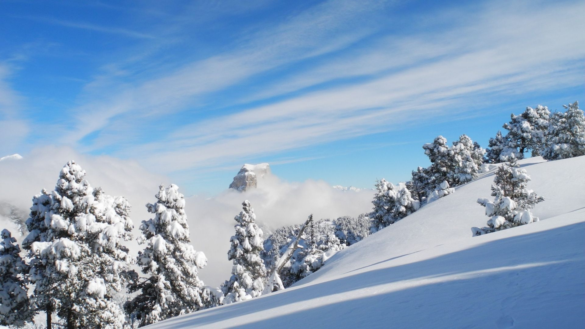 © Matthieu Offredi Verschneiter Mont Aiguille und raureifbedeckte Tannen - Vercors - Frankreich