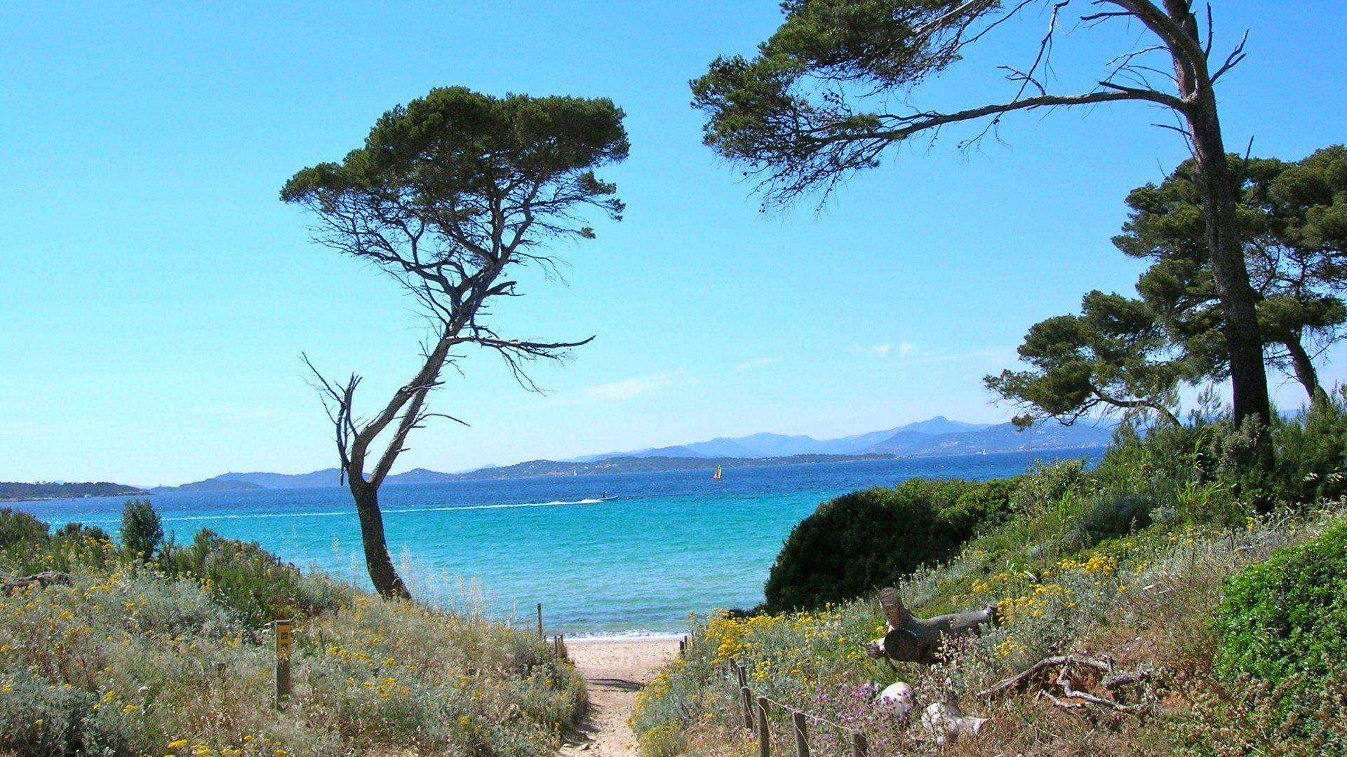 Felsküste der Insel Porquerolles - Var - Frankreich