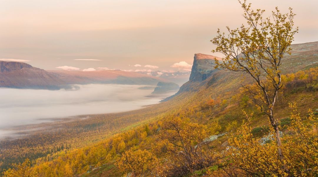 Nationalpark Sarek