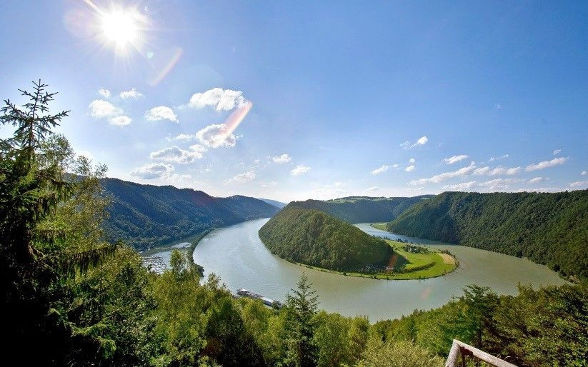 Donauschlinge bei Schlögen - Oberösterreich - Österreich