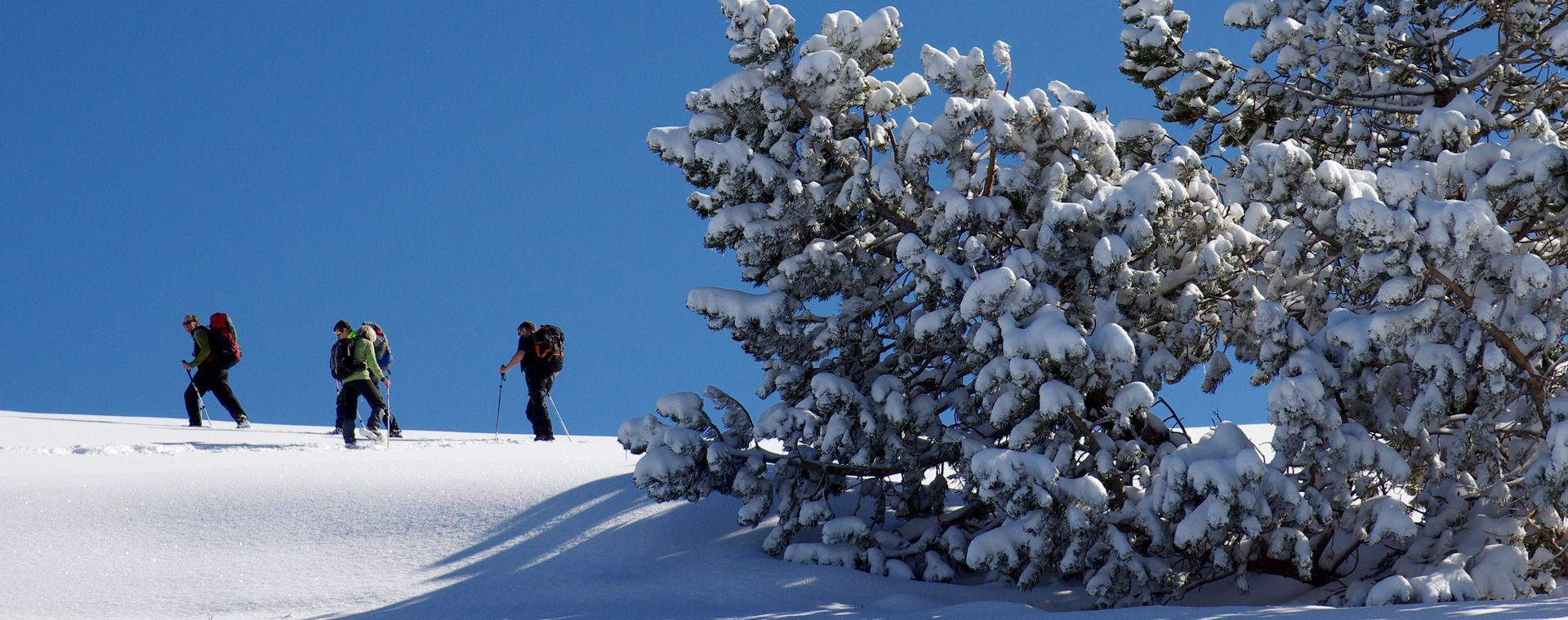 Individuelle Schneeschuhwanderung auf der Alm Molière - Vercors - Frankreich