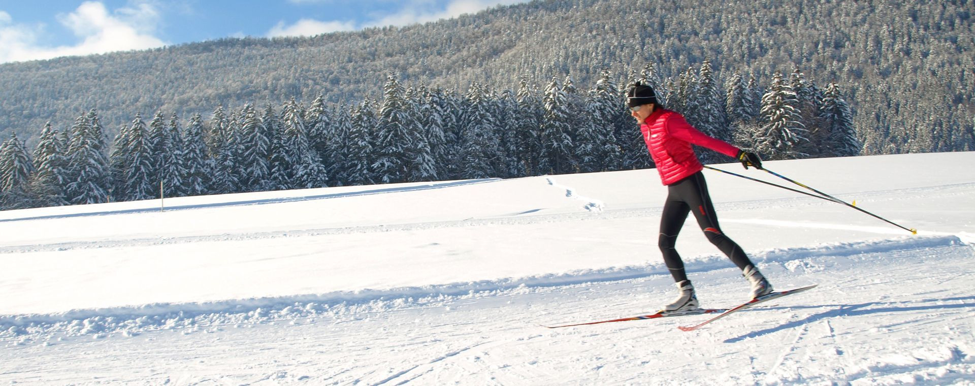 Skilanglauf im Skating-Stil - Regionaler Naturpark Vercors - Frankreich