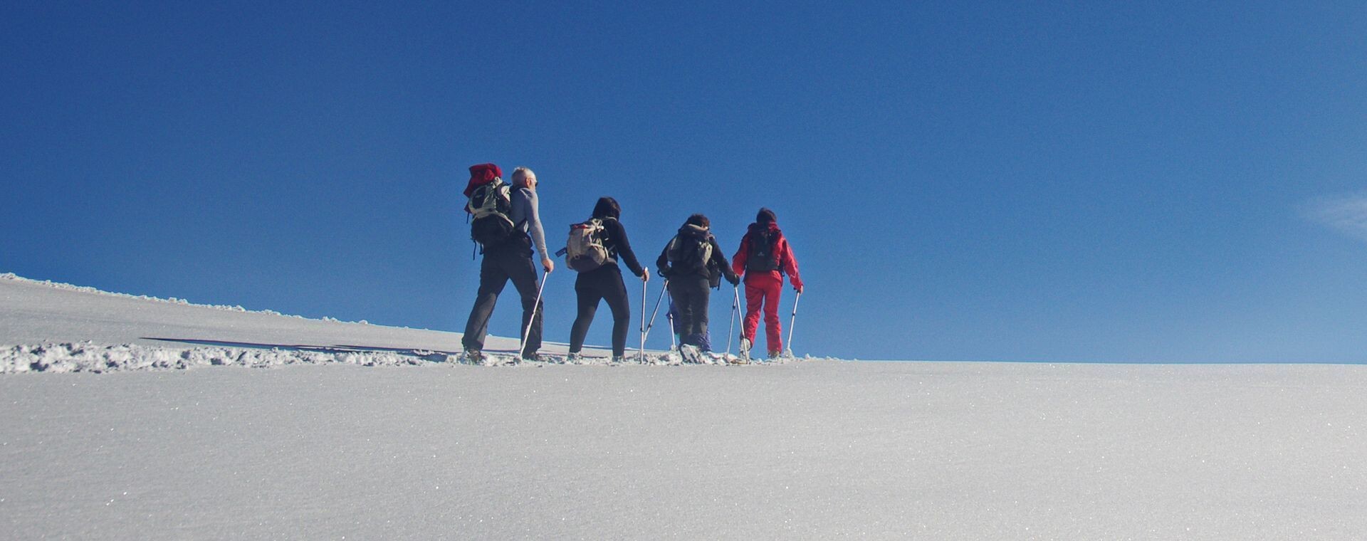Randonnée-Skifahrer auf dem Weg zum Gipfel - Alm Molière, Vercors - Alpen - Frankreich