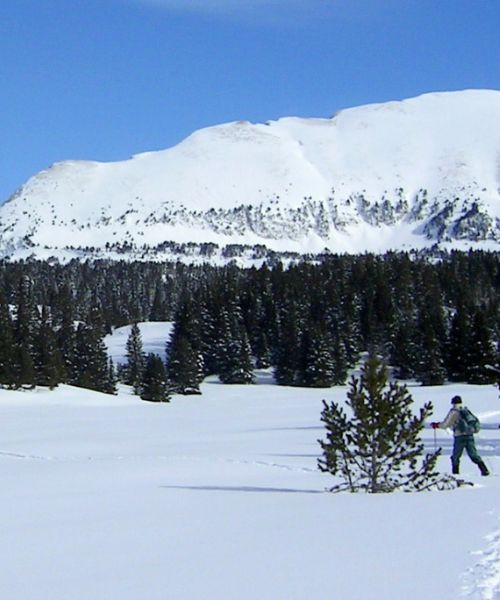 Skitour unter dem verschneiten Grand Veymont - Vercors - Frankreich