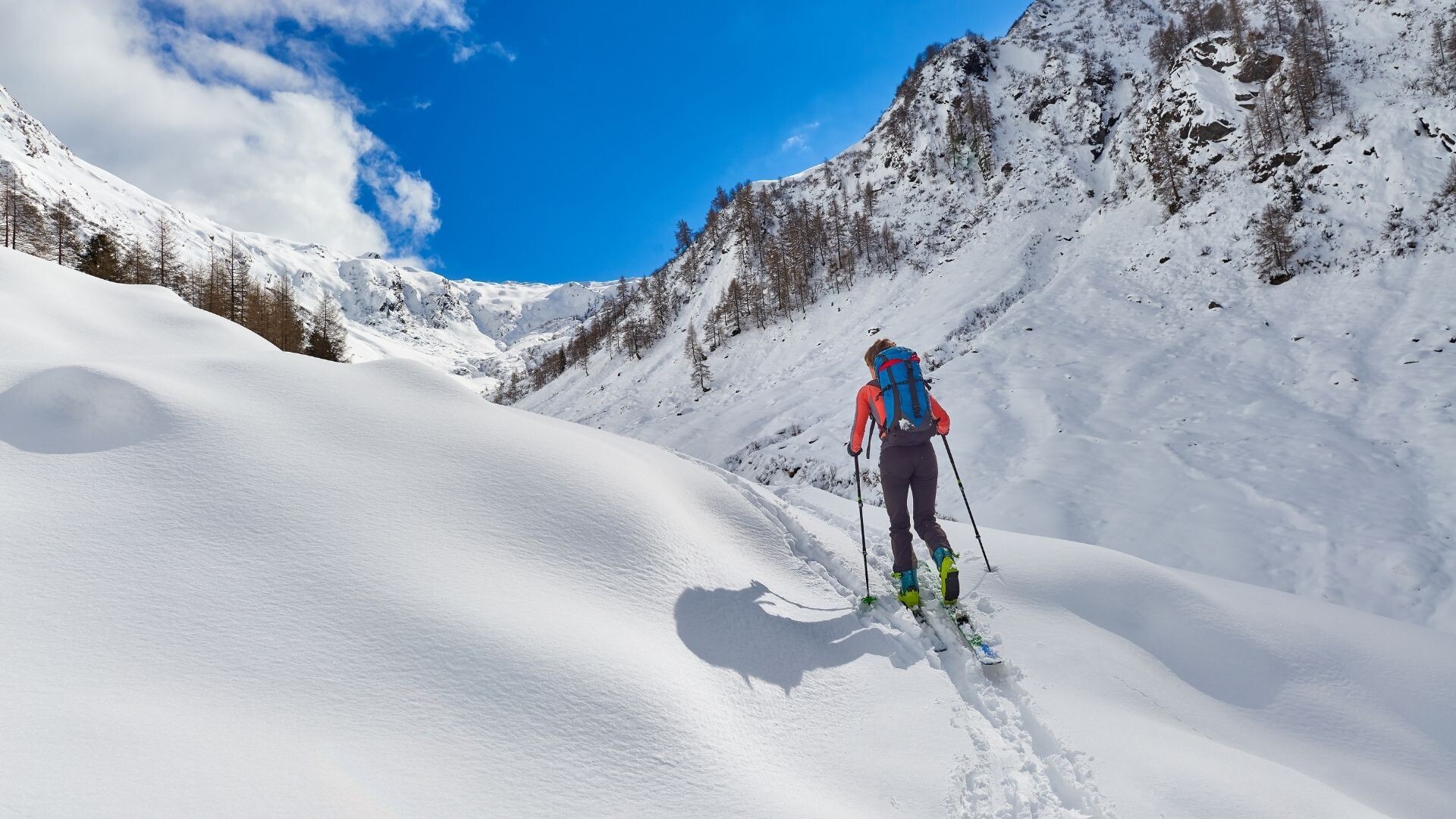 Skitourengehen: Unterschiede zwischen den verschiedenen Skiarten