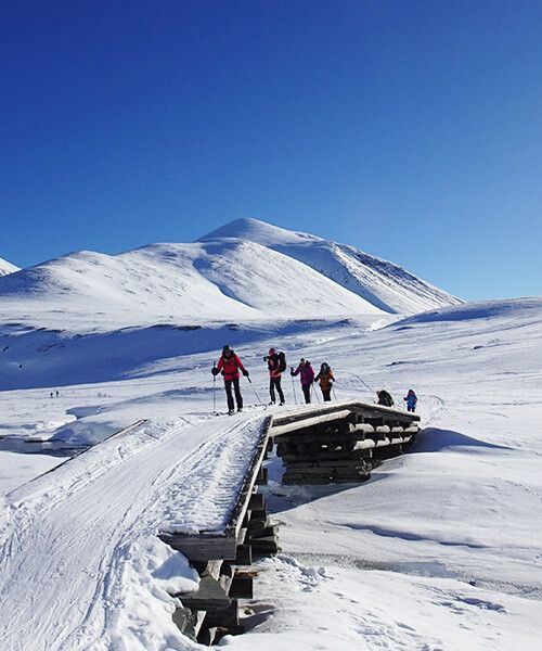 © Cavallini Skifahrer überqueren eine Brücke im Rondane - Norwegen