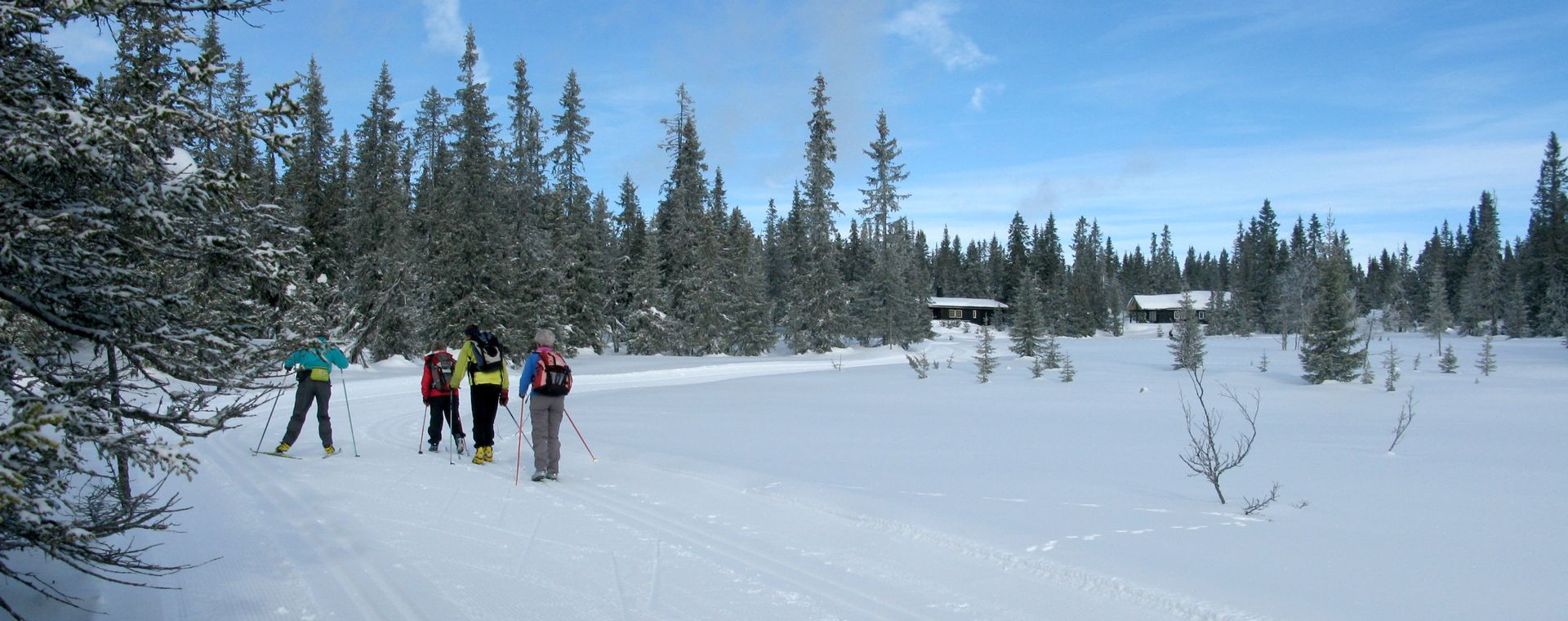 Langläufer in Sjusjøen - Norwegen