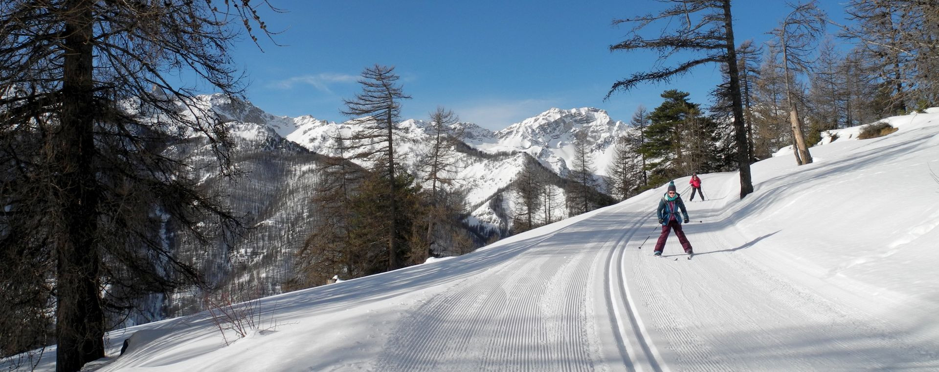 Langläufer auf einer präparierten Loipe - Queyras - Alpen - Frankreich