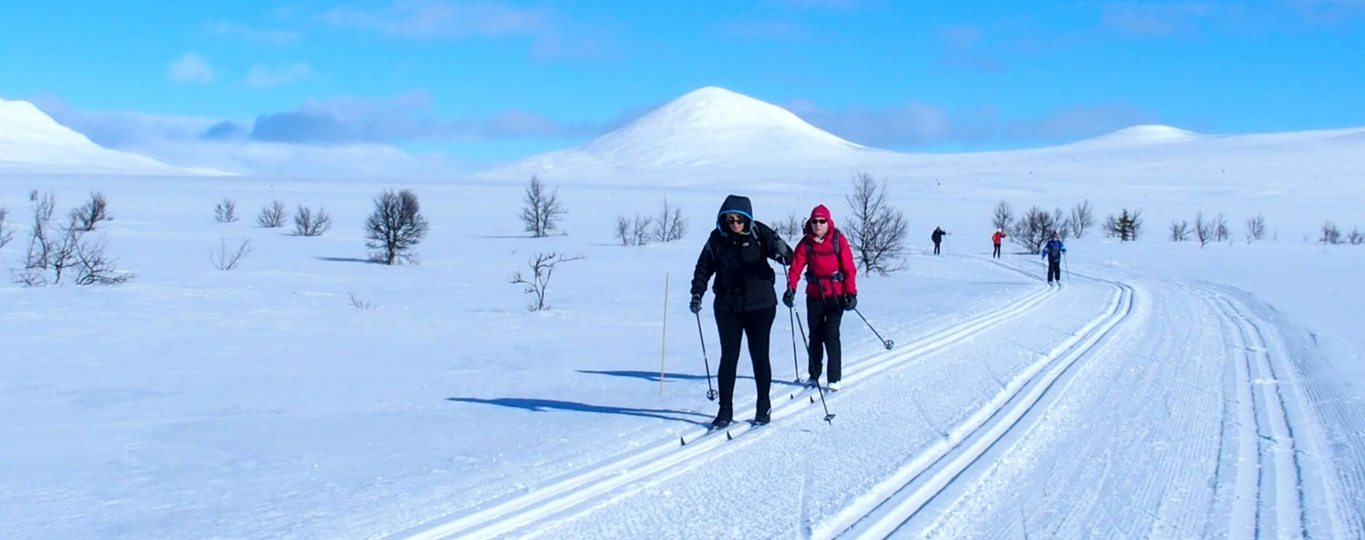 Langlauf in Venabu - Norwegen