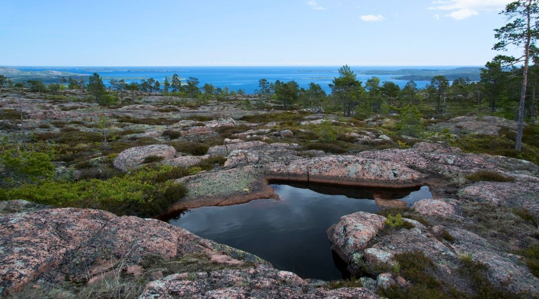 Skuleskogen