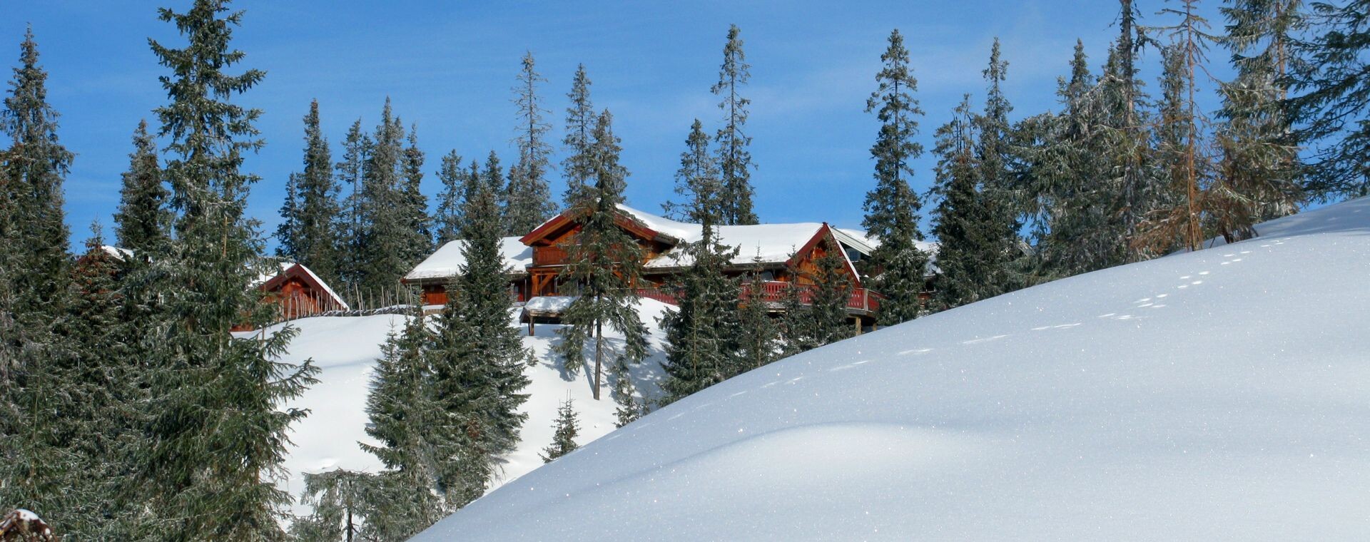 Verschneites Chalet zwischen Fichten - Sjusjøen im Winter - Norwegen