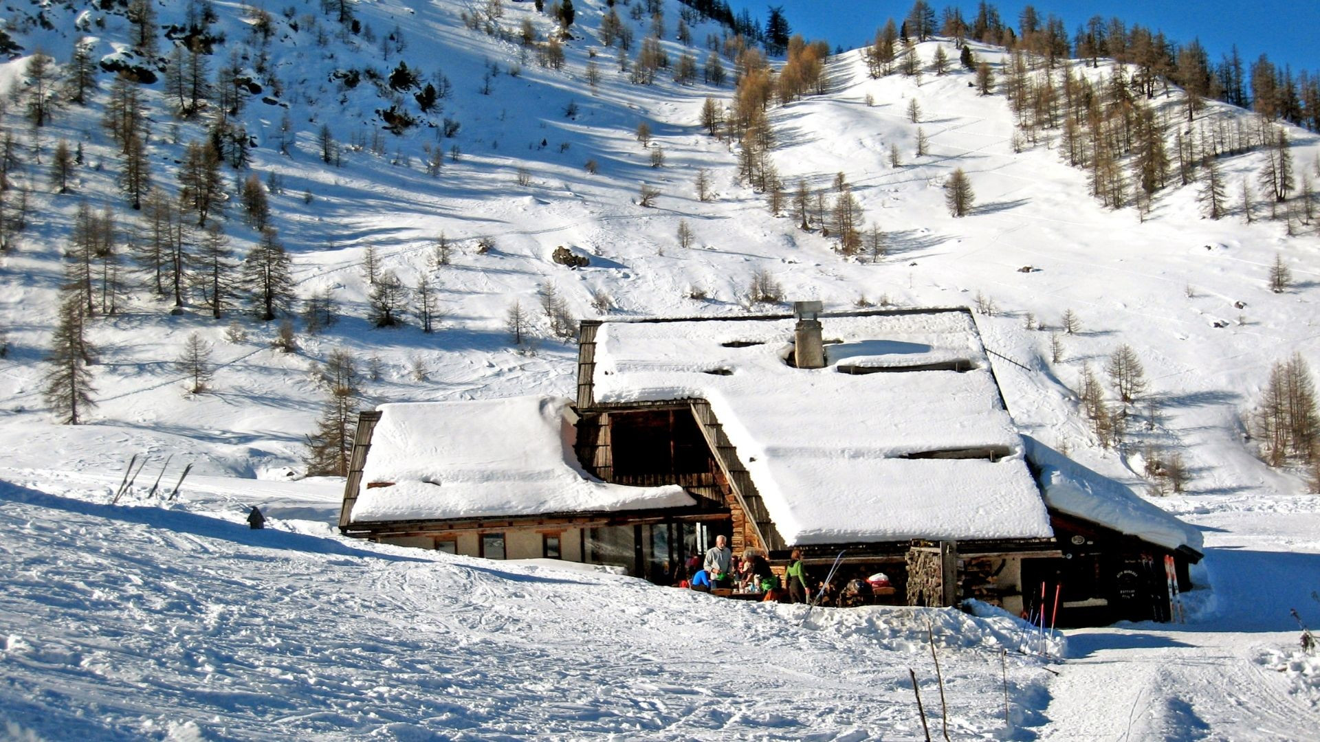 Verschneites Chalet unter Lärchen - Österreichische Alpen - Österreich