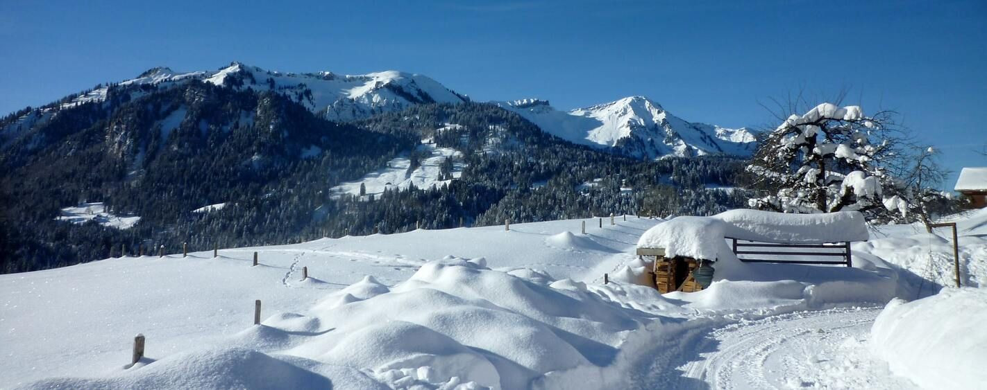 Verschneite Hügel und Bank - Bregenzerwald - Österreich