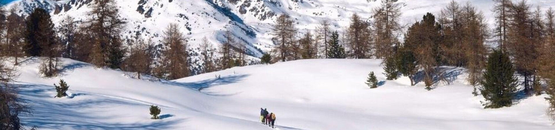 Schneeschuhwanderer in verschneiter Alpenlandschaft - Berge - Italien