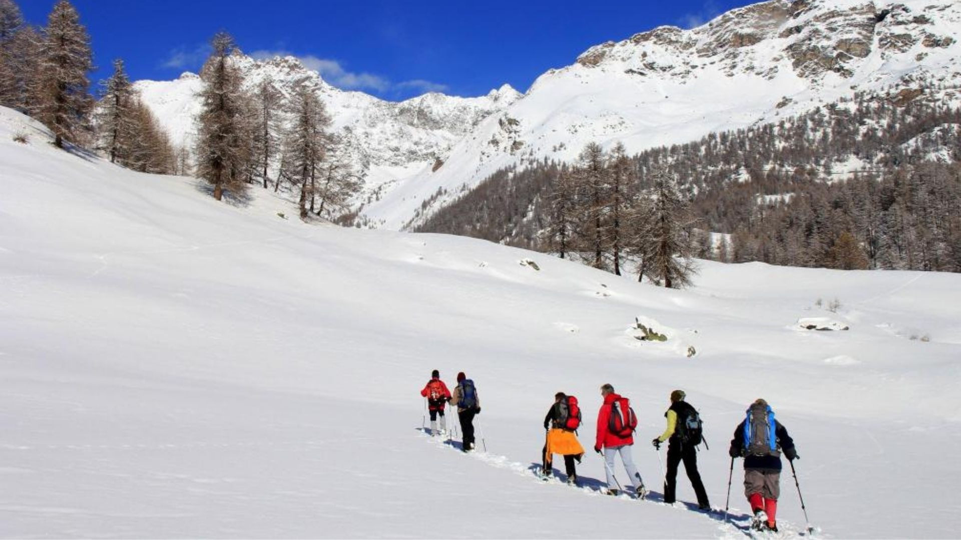 Schneeschuhwanderer in einem verschneiten Tal - Italienische Alpen - Italien