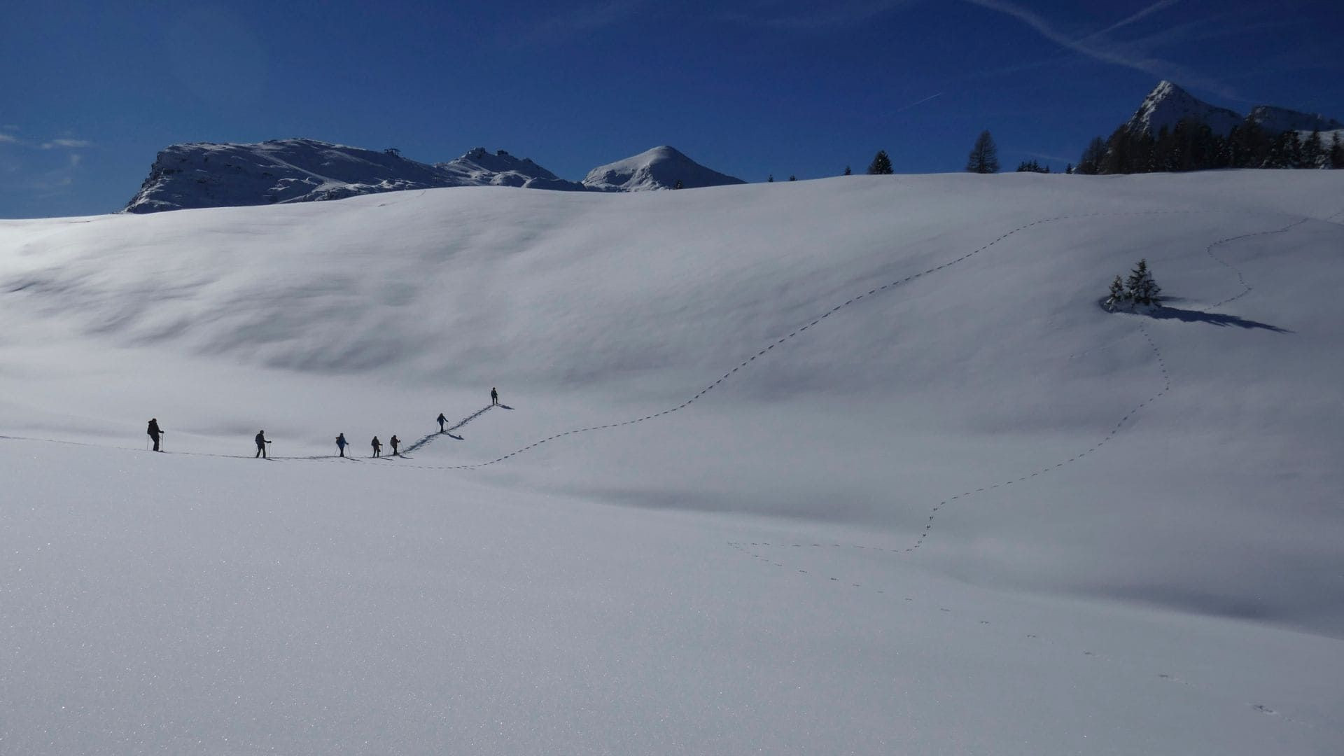 Randonnée en raquettes sur plateau enneigé - Dolomites - Italie