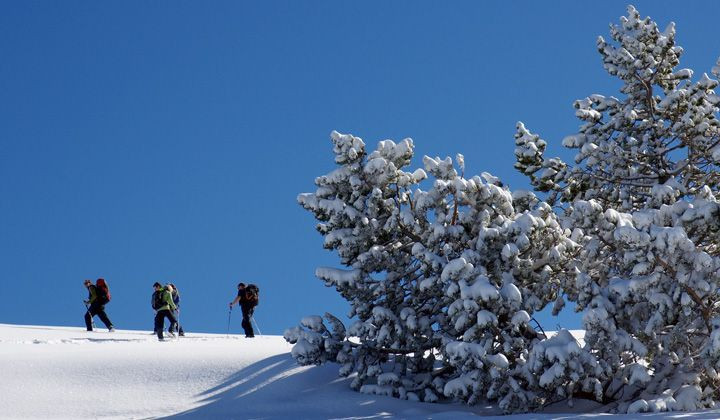 Schneeschuhwanderung auf der Alm La Molière - Vercors - Frankreich