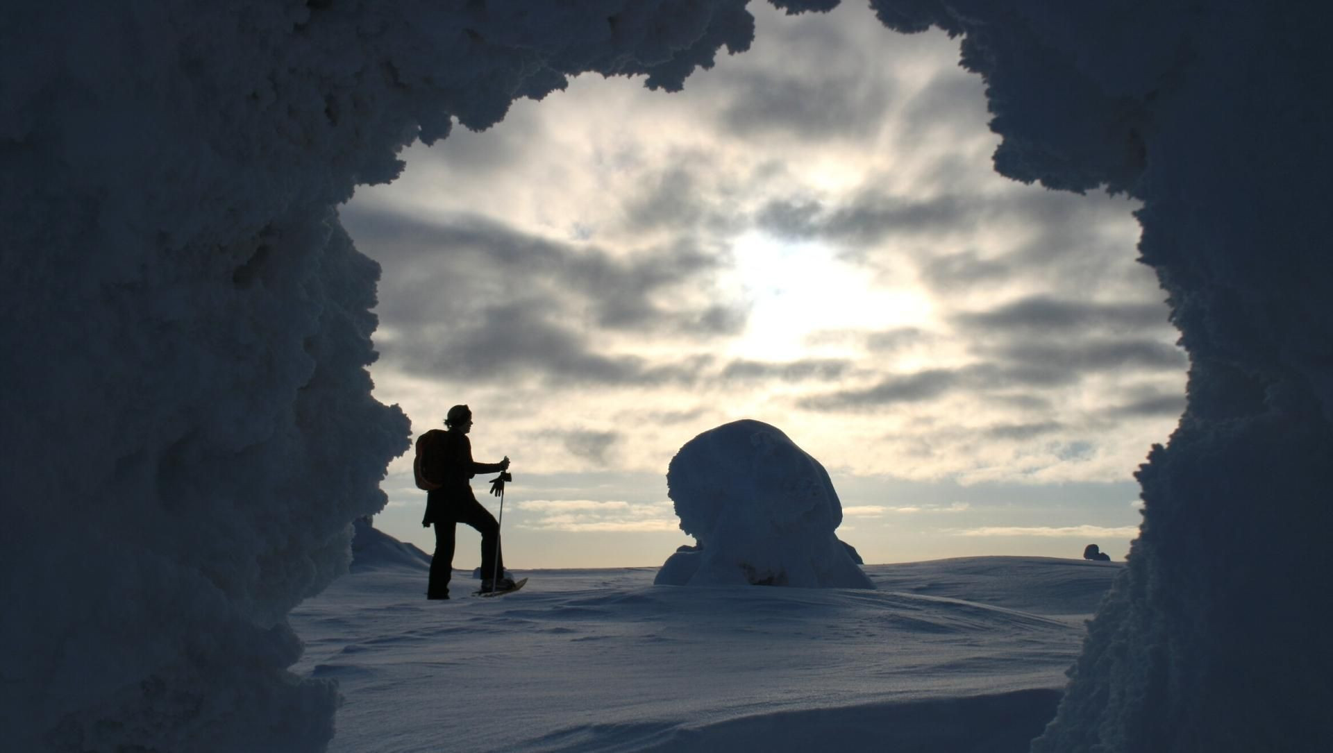 Schneeschuhwanderung im Gegenlicht zwischen bereiften Bäumen - Finnisch-Lappland