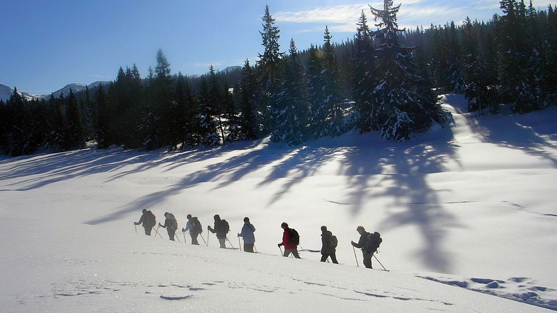 Schneeschuhwandergruppe auf dem Hochplateau des Vercors - Frankreich